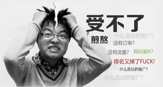 2015关于站群的N种问题