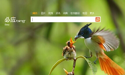 微软Bing(必应)