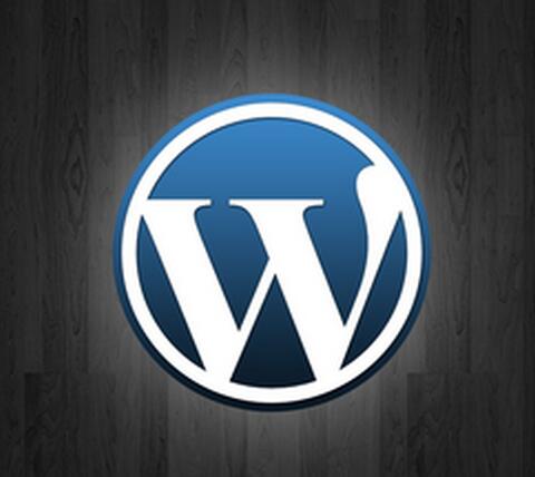 百度上线Wordpress链接提交插件:可加速收录