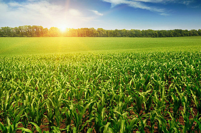 菜园能发电赚钱 发电立体式菜园