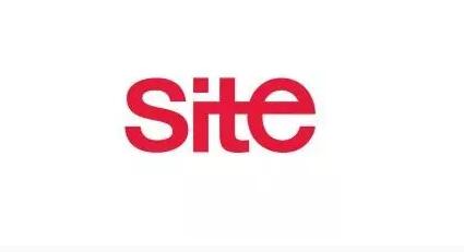 SEO技术:site与domain在网站优化中的地位