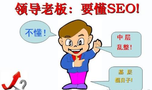 大型SEO项目流程 只需你的经验就能办成